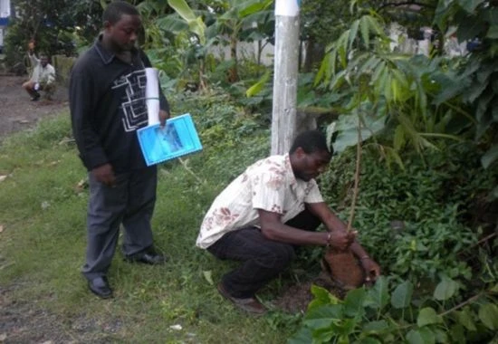 Fruit tree Planting 