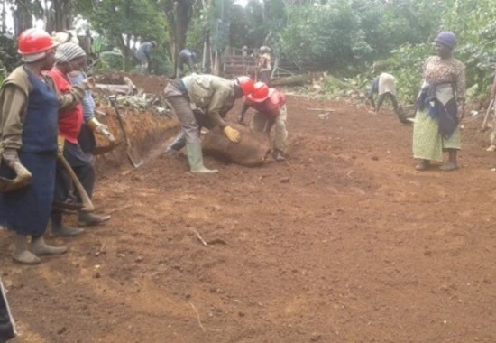 Community Development