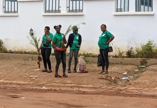 Environmental activities